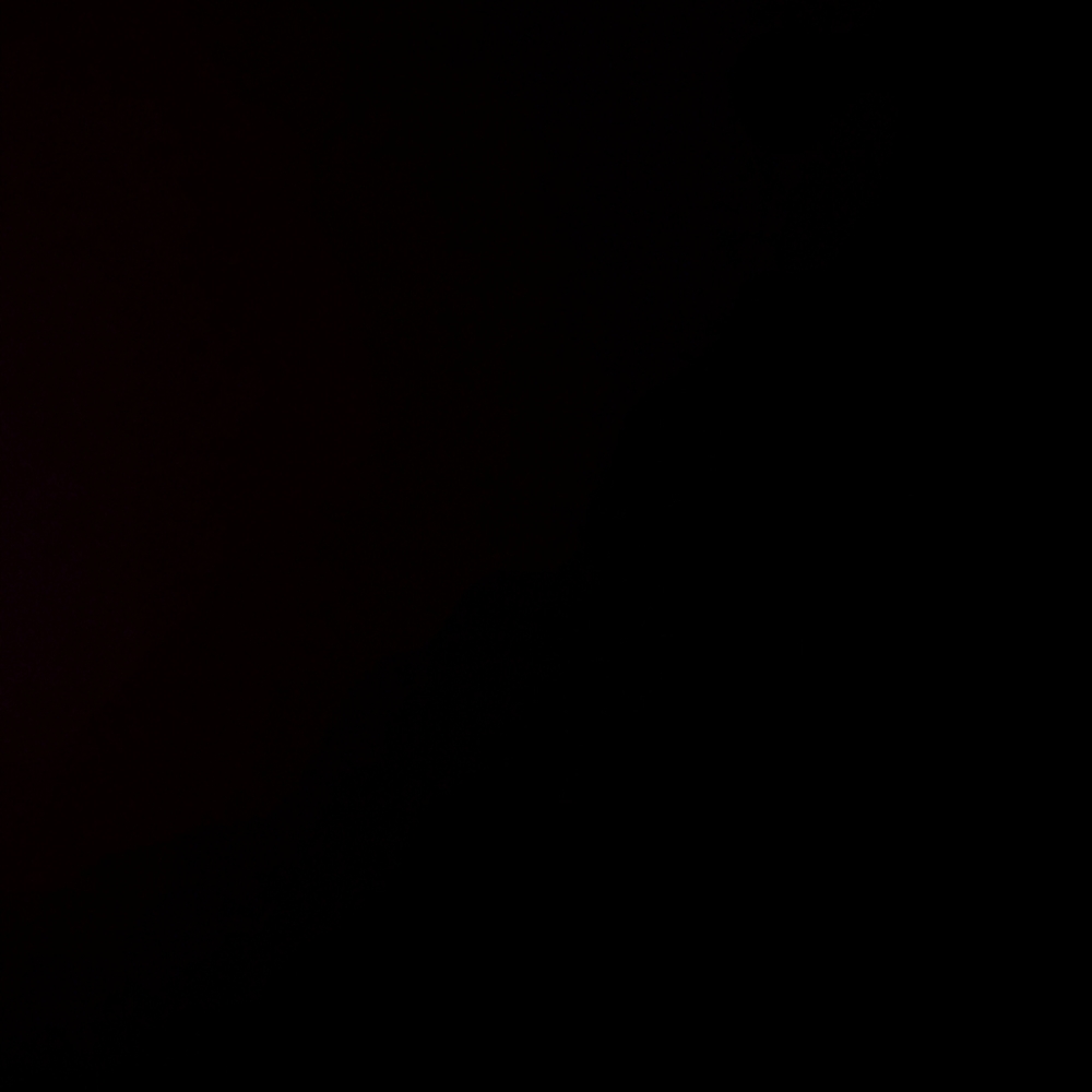 Meet your Posher, Reginald